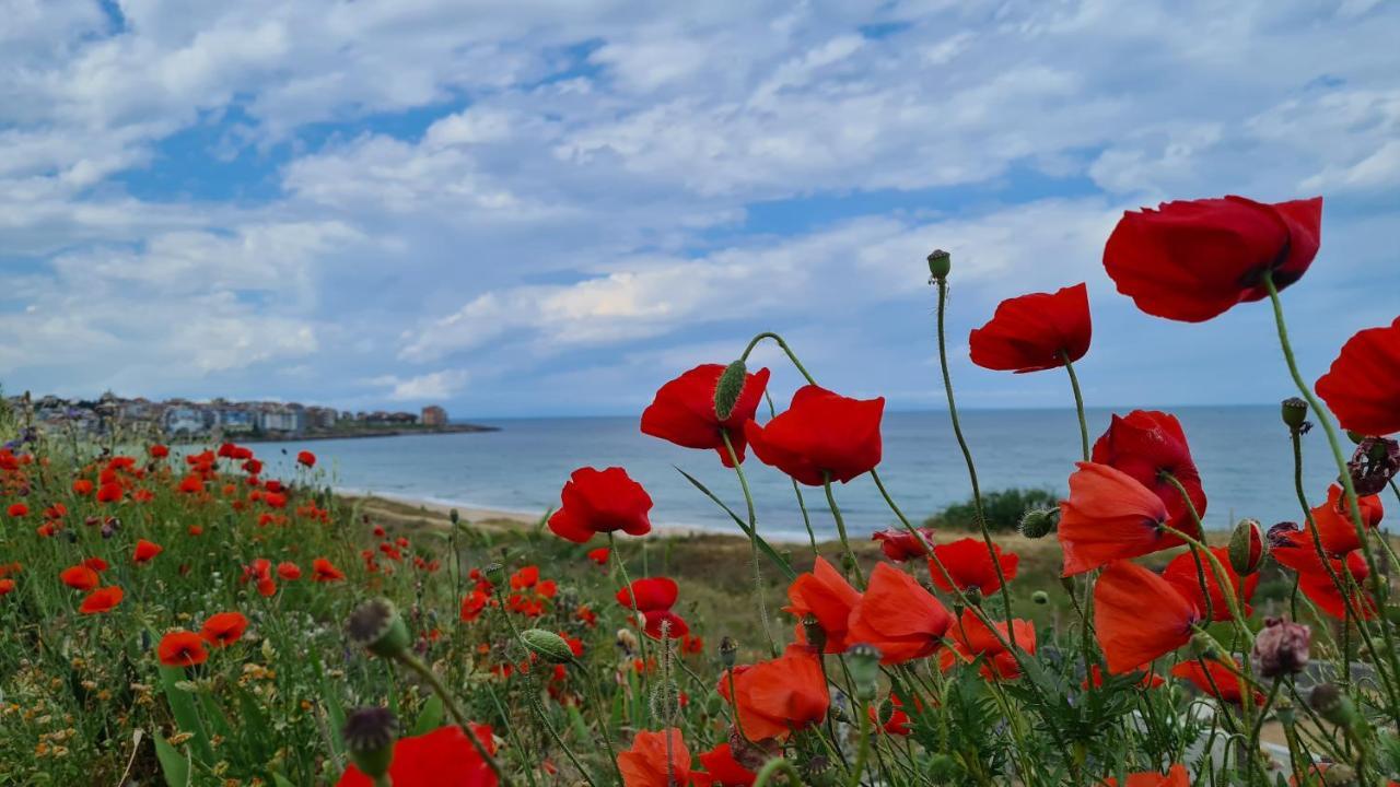 Villa Flora Sozopol Eksteriør billede